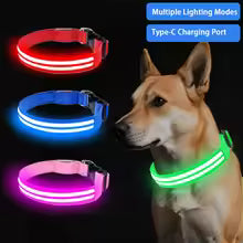 LED Glow Dog Collar – Rechargeable Safety Light