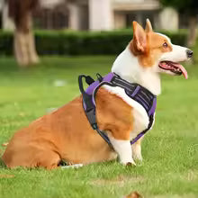 No Pull Soft Adjustable Pet Dog Harness Reflective Strips&Control Handle Purple