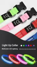 LED Glow Dog Collar – Rechargeable Safety Light