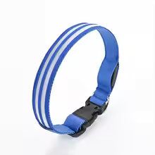 LED Glow Dog Collar – Rechargeable Safety Light